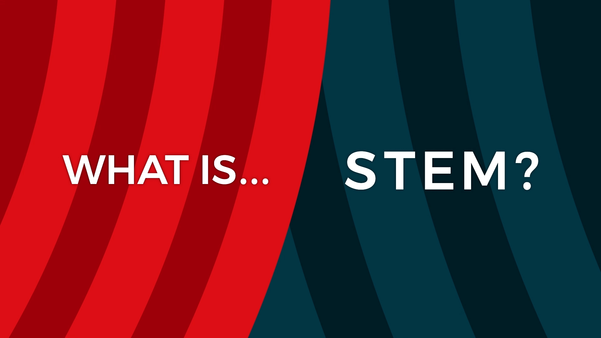 What is stem title page