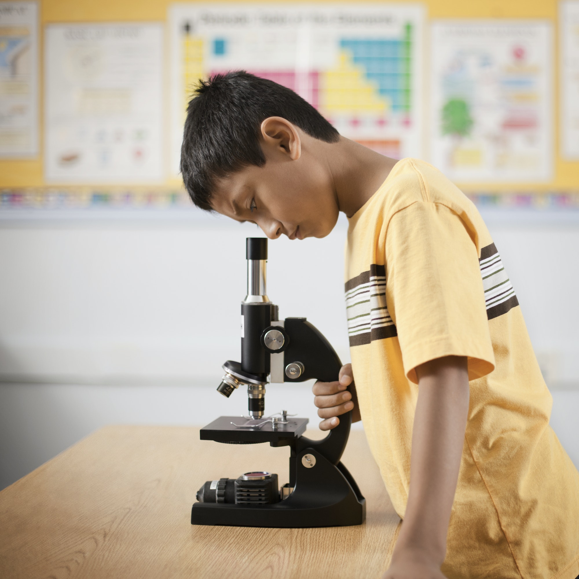 A boy using a microscope in a science lesson.